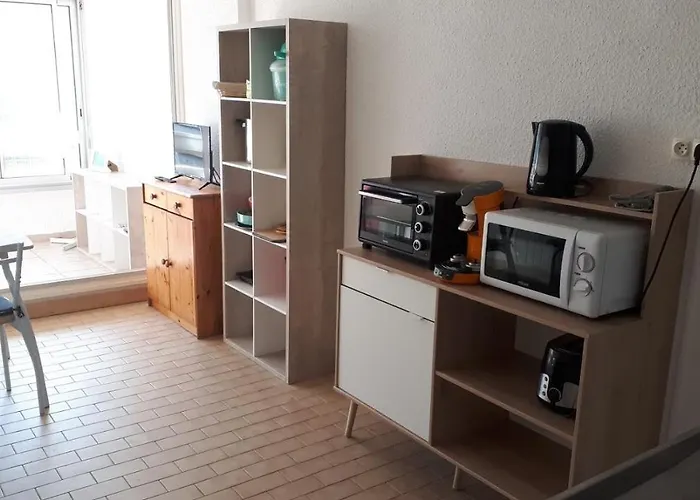 Studio 250M Mer Et Seaquarium Avec Place Parking